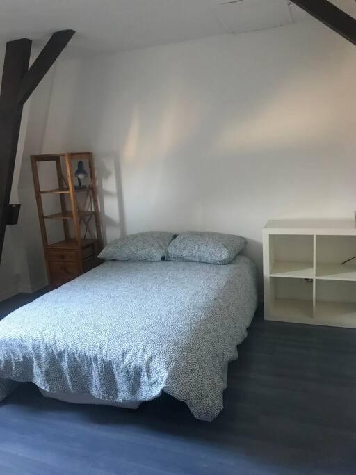 Maison Ville 50M2 5 Personnes Saint-Pierre-des-Corps Esterno foto