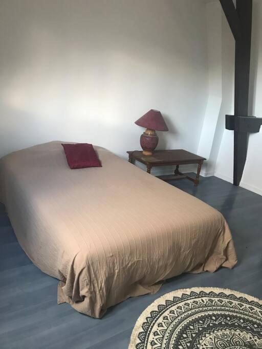 Maison Ville 50M2 5 Personnes Saint-Pierre-des-Corps Esterno foto